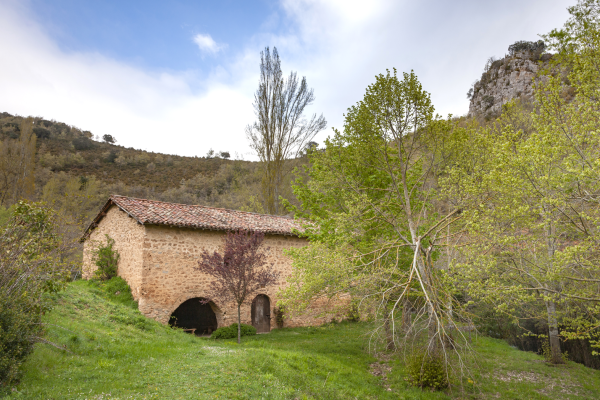 ermita4D67890C8-7D0B-5275-2B1B-FB1C75D2A92B.png