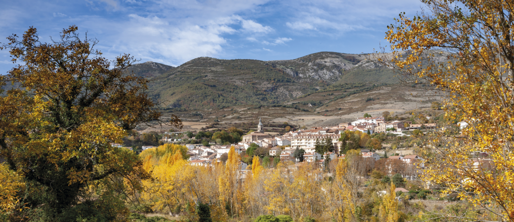 Torrecilla y su comarca